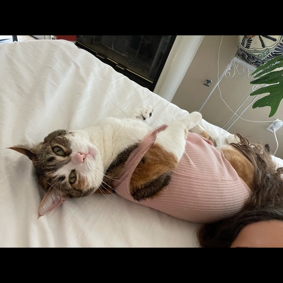 Meet your Posher, Mmichelle - Picture 4 of 5